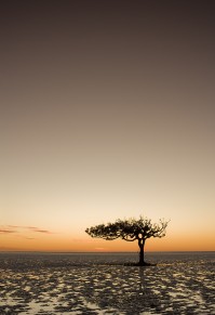 Port Hedland