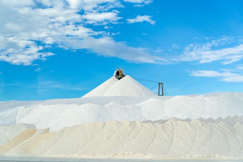 Salt Industry Tour